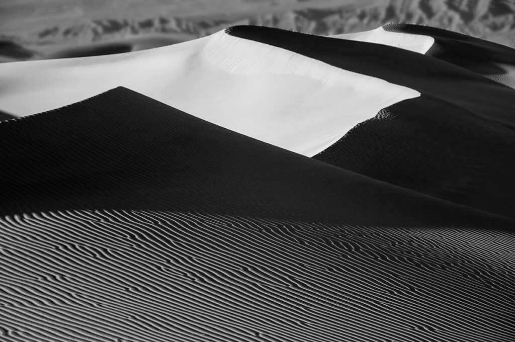 schuster sanddunes d90 199 2 final